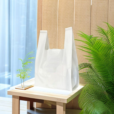 Promoción Frutas Compostable Biodegradable Bolsa de compras hecha a medida